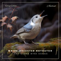 White-breasted_Nuthatch_and_Other_Bird_Songs